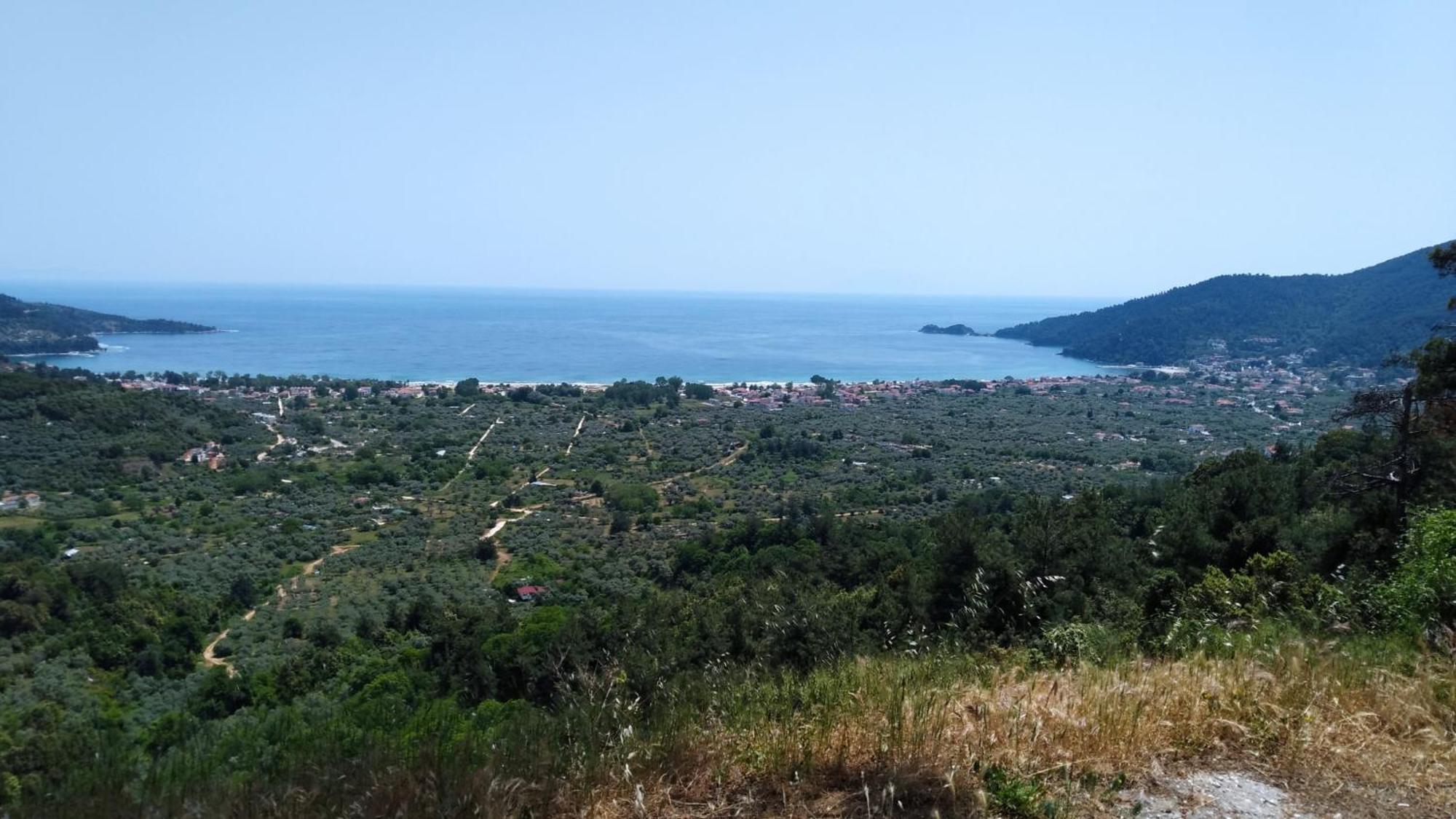 Harmony Studios & Apartments Σκάλα Ποταμιάς Εξωτερικό φωτογραφία